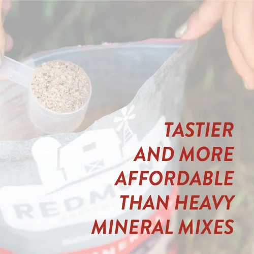 Vista 2 de REDMOND Mezcla de suplemento mineral de cabra, sal sin refinar (5 libras)