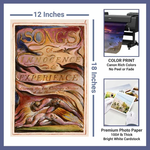Vista 2 de Póster de arte de pared con canciones de inocencia y experiencia de William Blake, impresión sin marco, pósters, imágenes e impresiones