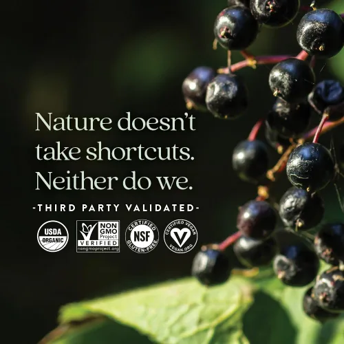 Vista 5 de New Chapter - Saúco