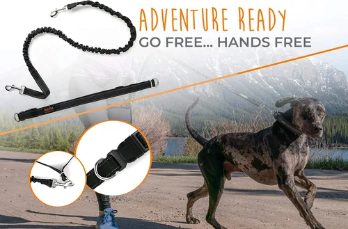Vista 3 de Mighty Paw Correa de Perro Sin Manos Correa de Cintura Elástica para Pasear Perros. Correa Sin Manos para Correr con Mascotas para Razas Grandes