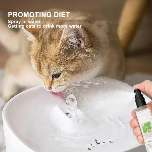 Vista 5 de Herbal Cat Joy, spray herbario para gato, espray de hierba gatera, espray de hierba gatera para gatos de interior, spray calmante para gatos