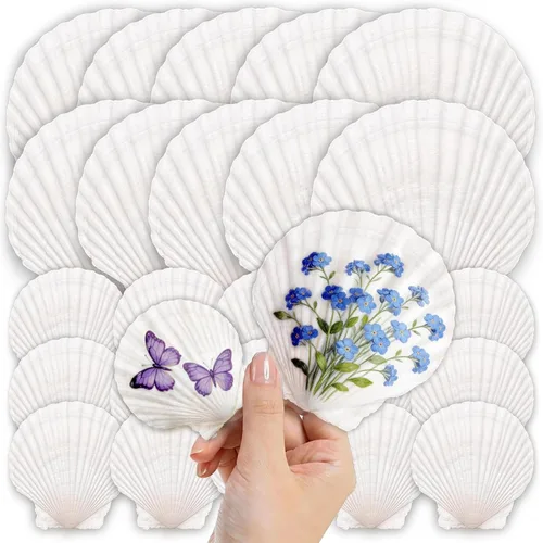 Vista 9 de 20 conchas de vieira grandes para manualidades, conchas marinas naturales de 4 a 5 pulgadas para decorar, conchas marinas blancas a granel