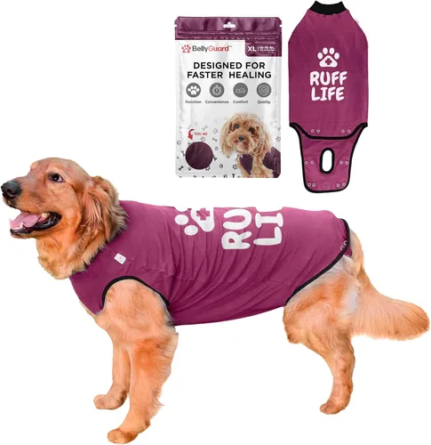 Vista 12 de BellyGuard Traje de recuperación de cirugía para perros, mameluco para perros para cuidado posoperatorio, ropa de recuperación para hembras
