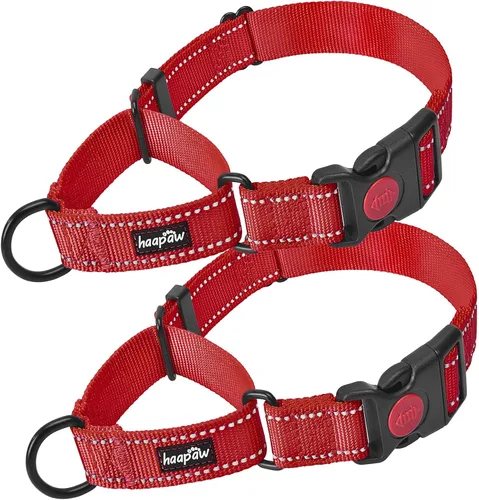Vista 14 de Haapaw Collar de perro Martingala a prueba de escapes, beige, S