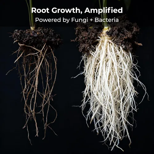 Vista 5 de Real Growers recarga - Superpack de microbios del suelo, estimulante natural para el crecimiento de plantas (2 oz) (RGR-2)