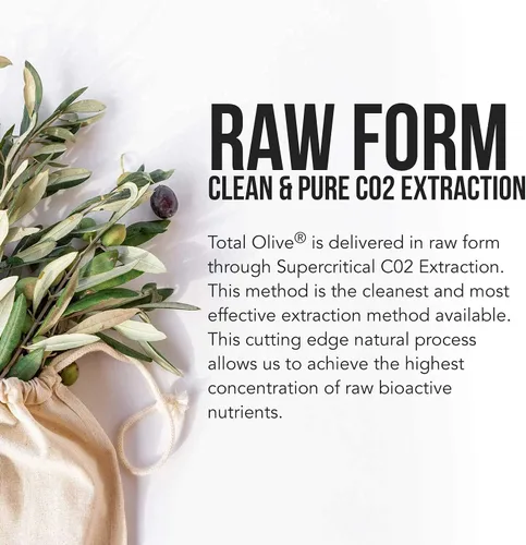 Vista 9 de Total Olive® - Extracto de hoja de olivo (40% oleuropeína) más extracto de fruta de oliva (20% hidroxitirosol) - Extracto de espectro completo