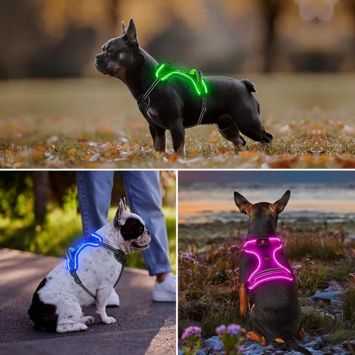Vista 6 de Arnés para perro con luz Vizbrite, arnés LED para perro sin tirones con asa, chaleco de seguridad iluminado recargable para perros pequeños