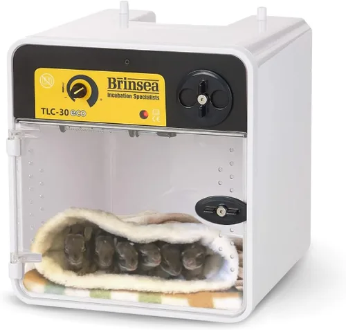 Brinsea TLC-30 - Incubadora portátil ecológica para aves y recuperación, diseño compacto, calefacción y control de temperatura, criadora de mascotas
