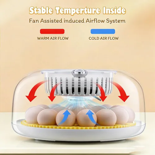 Vista 2 de Sailnovo Incubadora de 18 huevos para incubar huevos con giro automático de huevos y pantalla de humedad, control de temperatura, visión clara