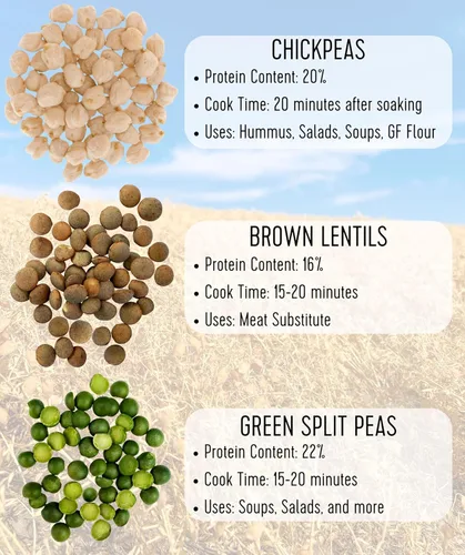 Vista 8 de Palouse Brand Lentejas marrones certificadas sin residuos de glifosato 10 libras Sin desecantes germinables Proyecto verificado sin OMG