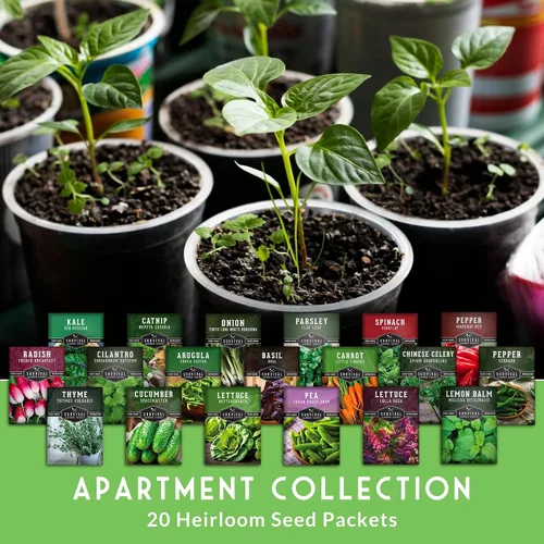 Vista 3 de Kit de semillas de jardín hidropónico e interior - 20 variedades compactas de verduras y hierbas tradicionales Apartamento, espacio pequeño, patio