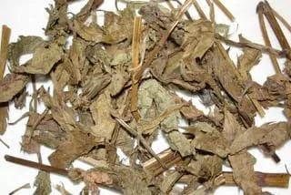 Alisma Rhizome Ze Xie Alisma Root Chinese Herb Plum Dragon Herbs (1 libra)