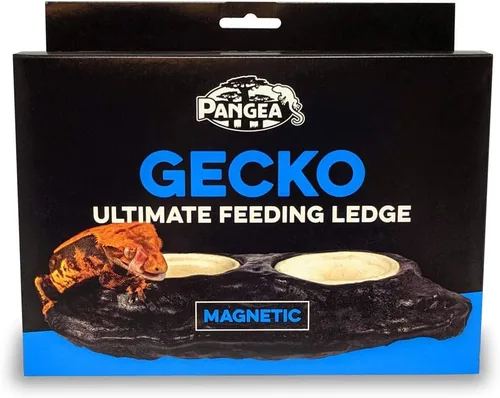 Vista 5 de Alimentador magnético para gecos Ultimate Gecko Ledge