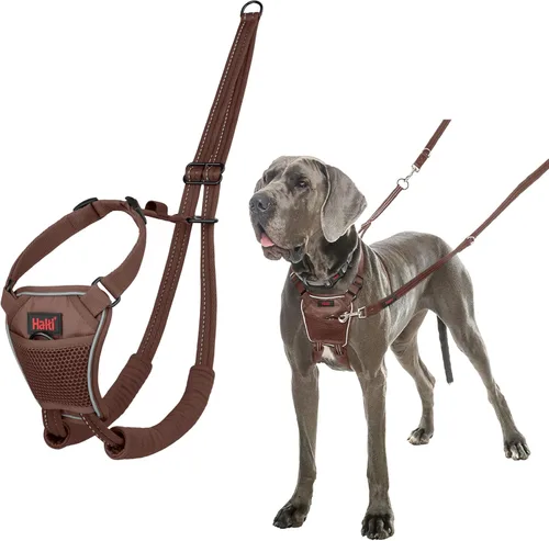 Vista 21 de Halti Arnés sin tirones: evita que tu perro tire de la correa. Ajustable, ligero y fácil de usar. Arnés reflectante de entrenamiento para perros