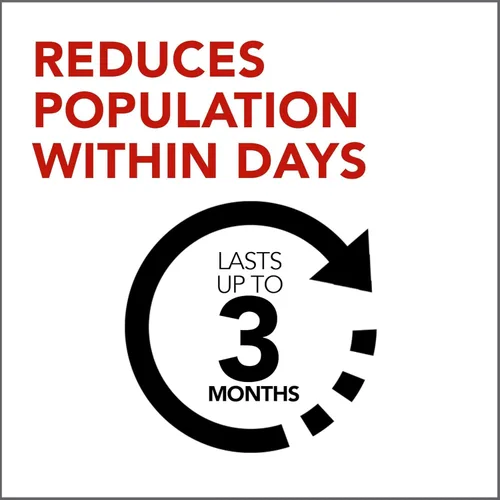 Vista 5 de Raid Max - Cebos para hormigas de doble control, sistema de defensa de uso doméstico para controlar insectos, tecnología de cebo doble, 0.28 onzas