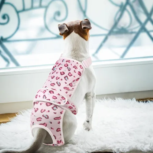 Vista 13 de ASENKU Paquete de 2 pañales para perras hembras, con tirantes para perras, pañales reutilizables para perras pequeñas, pañales lavables para perras