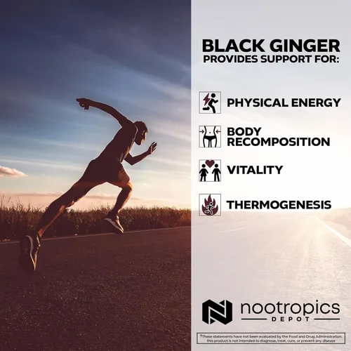 Vista 4 de Nootropics Depot Cápsulas de extracto de jengibre negro 10% 5,7-dimetoxiflavona 60