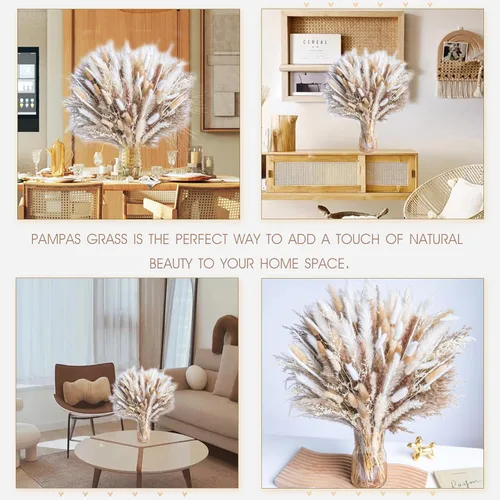 Vista 3 de 300PCS Hierba de Pampas Seca Natural Decoración del Hogar Boho Ramo Phragmites Ramo de Flores Secas para Arreglos Florales de Boda Decoraciones