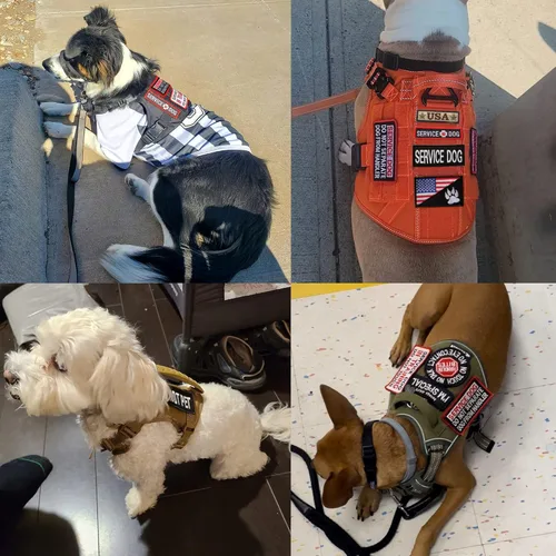 Vista 5 de 12 parches para perros de servicio, arnés de gancho táctico extraíble bordado en parche de entrenamiento, no mascotas, parche para perros de trabajo