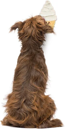 Vista 5 de Genuine Fred Distract O Mat, con forma de helado, tapete para lamer perro de alimentación lenta, alfombrilla antideslizante para distracción