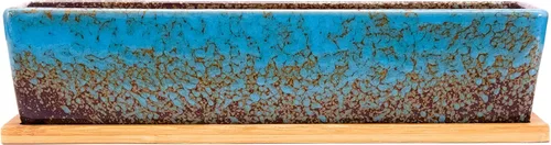 Vista 2 de ARTKETTY Macetas de suculentas - Macetas grandes para suculentas con drenaje, maceta de bonsái rectangular larga de 12 pulgadas con bandeja