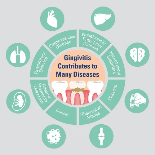 Vista 7 de ProBiora - Tabletas probióticas masticables para cuidado bucal Suplemento probiótico para mujeres y hombres Dientes y encías más saludables