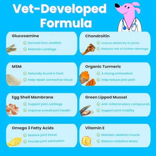 Vista 3 de Suplemento avanzado para cadera y articulaciones para perros, glucosamina para perros con MSM, condroitina, fórmula antiinflamatoria natural para un
