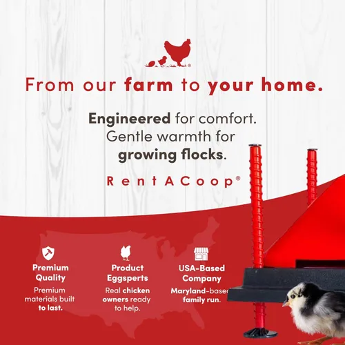 Vista 9 de RentACoop Juego de placa calefactora y cono anti-percha - Placa calefactora para criadora calienta hasta 15 pollitos - Calentador de pollitos con 25