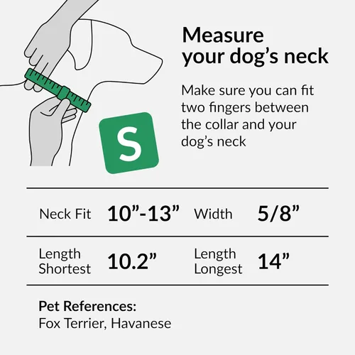 Vista 69 de CollarDirect Reflective Dog Collar for a Small, Medium, Large Dog or Puppy with a Quick Release Buckle - Boy and Girl - Nylon Suitable for Swimming