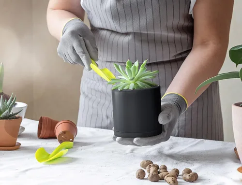 Vista 3 de D'vine Dev Paquete de 20 macetas de plástico (4 juegos de 2 pulgadas, 2.5 pulgadas, 3 pulgadas, 3.5 pulgadas, 4 pulgadas) macetas pequeñas