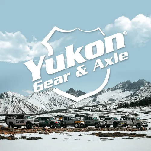 Vista 4 de Yukon Gear & Axle Juego de embrague Dura Grip para Ford 9.75
