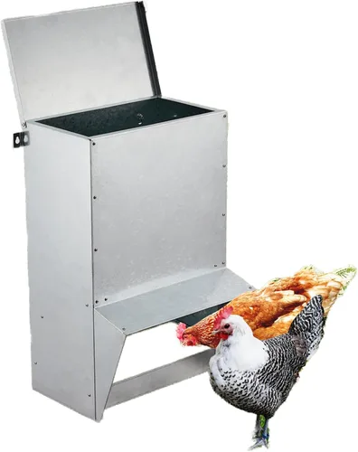 Comedero galvanizado para pollo, alimentador de aves de corral, alimentador automático de pollo de 50 libras con sistema de amortiguación lateral,