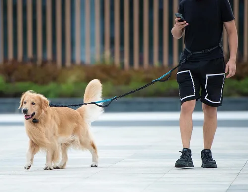 Vista 6 de iYoShop Correa de perro manos libres con bolsa con cierre, dobles asas acolchadas y elástica duradera para caminar, trotar y correr con tu perro