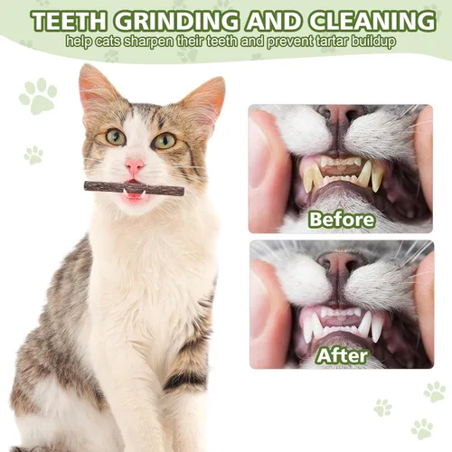 Vista 5 de WOUSEDO Paquete de 6 palitos Silvervine para gatos, palitos masticables naturales para el cuidado dental, limpieza de dientes, juguetes Matatabi