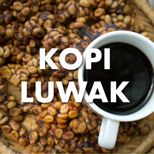 Vista 2 de Kopi Luwak Café, de origen sostenible, molido, tostado fresco, 16 onzas