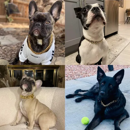 Vista 5 de Collar de perro de acero inoxidable chapado en oro de 18 quilates con cierre de seguridad de 15 mm de eslabones cubanos resistentes para perros