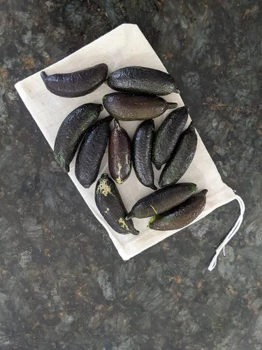 12 limas frescas de buen tamaño, también conocidas como cavia cítrica, 3.17 oz