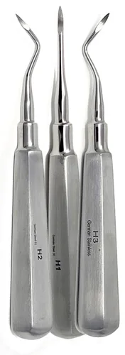 Elevador de luxación dental recto y curvo, osteótomo periodomo, implante oral de muda apical, extracción quirúrgica de raíz de acero inoxidable