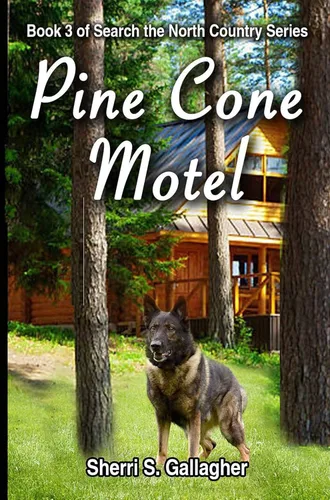 Pine Cone Motel (Search the North Country Book 3)