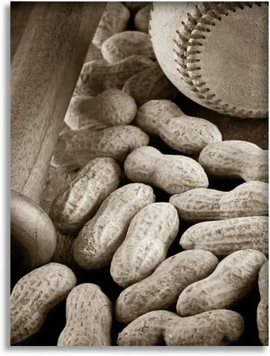 Bathroom Wall Art Decor Bathroom Pictures for Wall Artwork Nostalgia Baseball Framed Canvas Wall Art for Bedroom Dining Room Farmhouse 16"x20"