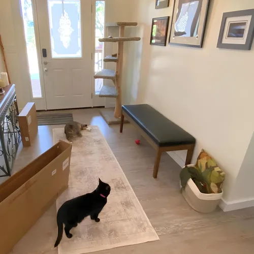 Vista 21 de chairus Banco de entrada tapizado de lino, banco de mesa de comedor, banco de zapatos de granja, asiento para pasillo, dormitorio, extremo