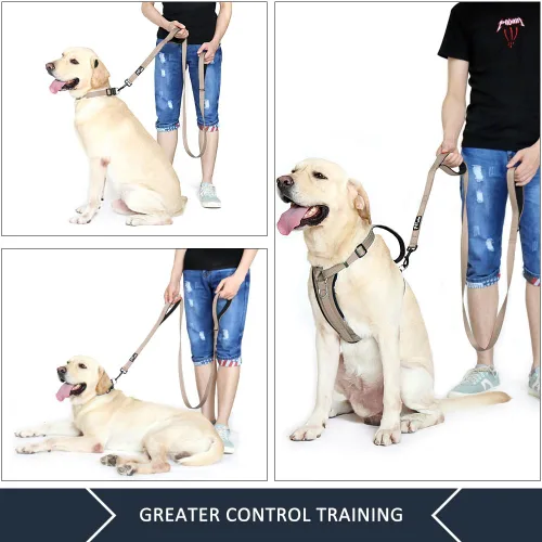 Vista 6 de Plutus Pet Correa de perro de doble asa de 4 pies, resistente, reflectante de doble asa para entrenamiento de seguridad, para perros medianos y Beige
