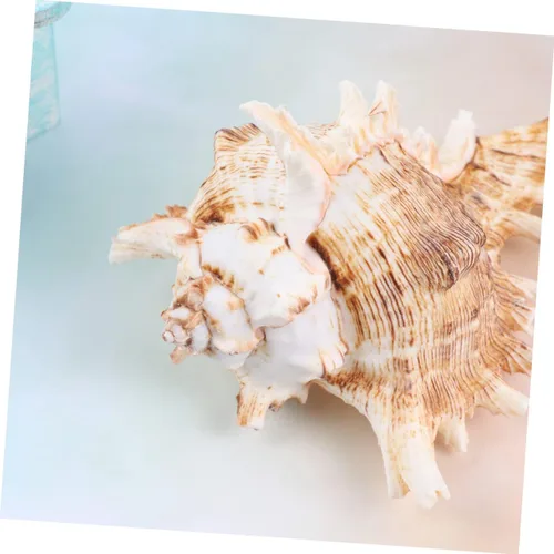 Vista 9 de FOMIYES Conch Ornament for Aquarium Natural Landscape Accessory 10-11cm Fish Tank Decoration Shell Ornament