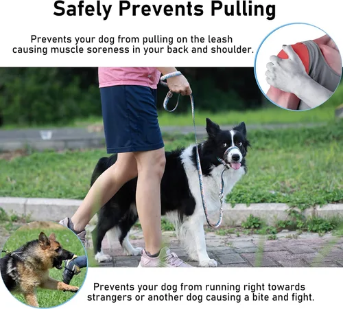 Vista 3 de BARKLESS Collar para la cabeza del perro, con correa impresa antitirones, arnés suave para hocico con clip ajustable para perros pequeños
