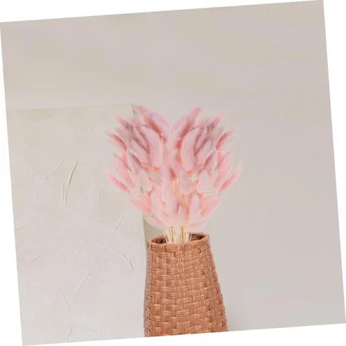 Vista 6 de Colas de conejo, flores secas, cola de conejo, ramo de flores secas, 60 piezas naturales para boda, cola de conejo, hierba para decoración