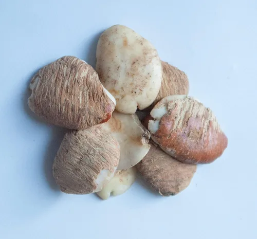 Vista 4 de KOPABANA Semillas de ogbono Mango africano mango arbustivo dika mbukpap uyo 2oz