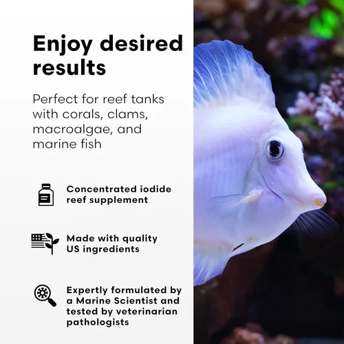 Vista 3 de Brightwell Aquatics Suplemento de yoduro de yodión para corales almejas peces macroalgas mejora la tolerancia a la iluminación de extensión