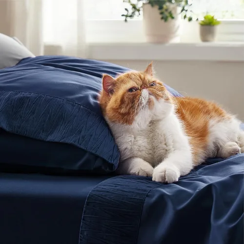 Vista 8 de Bedsure Paquete de relleno de edredón individual XL, sábanas individuales XL, color azul marino