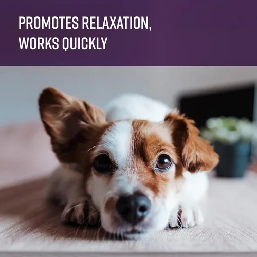 Vista 5 de Sentry Calming Chews for Dogs