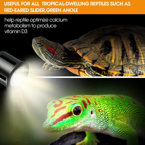 Vista 3 de Luz de reptil UVB 5.0 de alta calidad, espectro completo UVA UVB de 3 W, bombilla tropical para un metabolismo óptimo del calcio, ideal